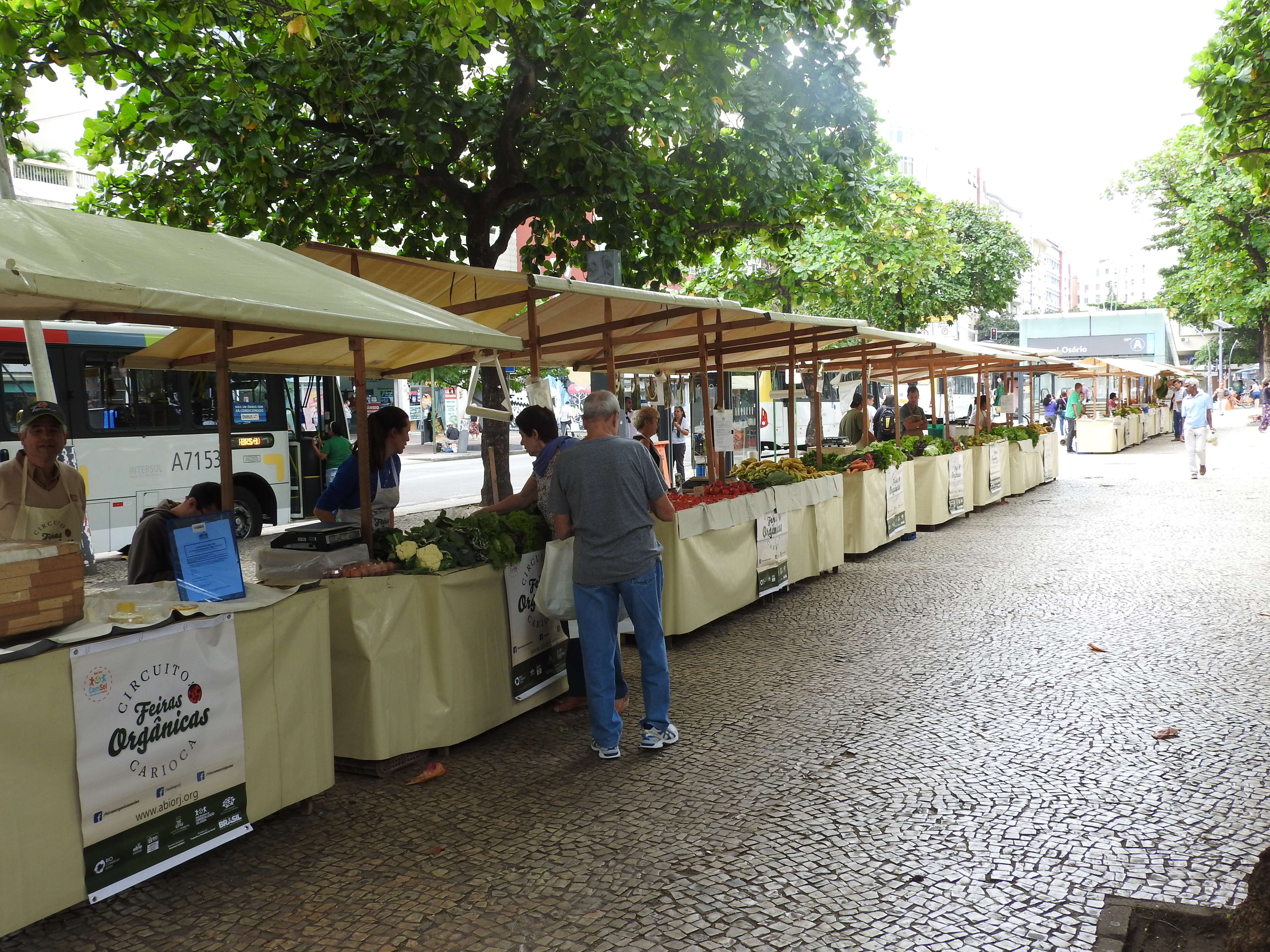 Feira Org 3.JPG